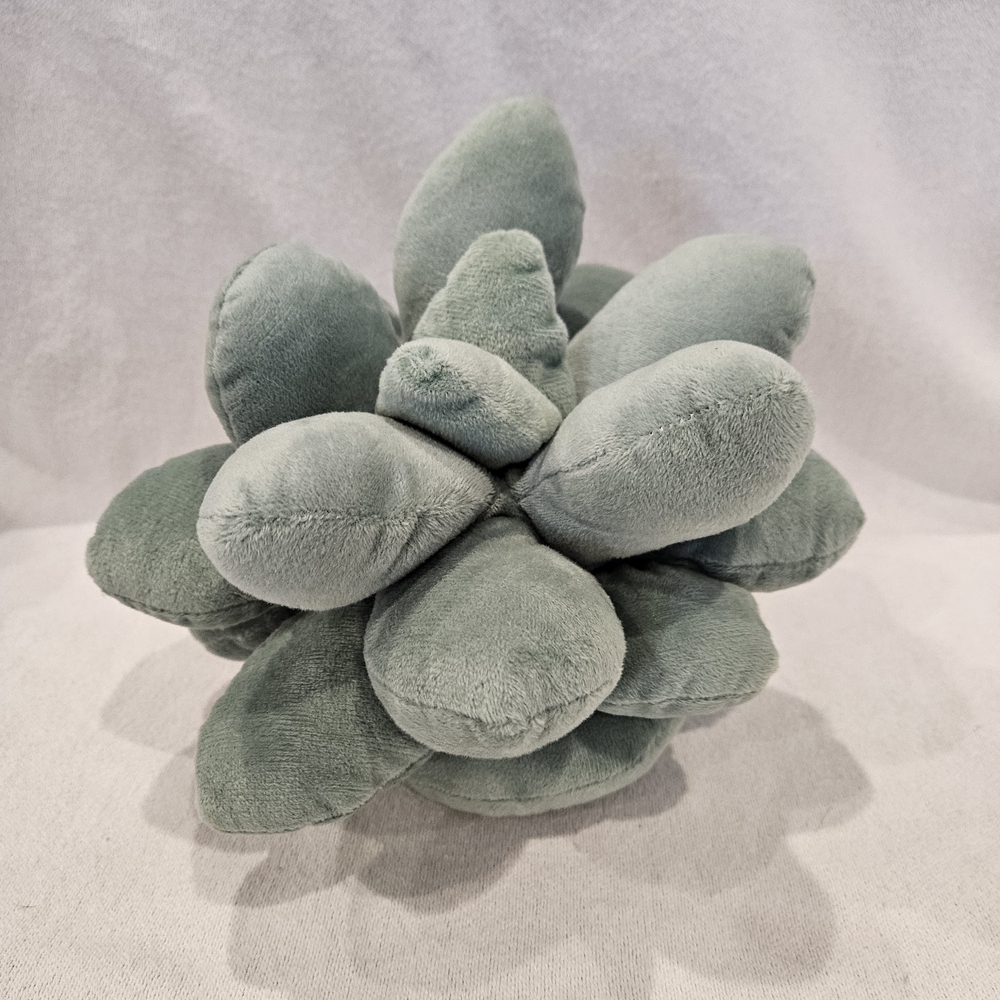 Plush Succulent Pillow